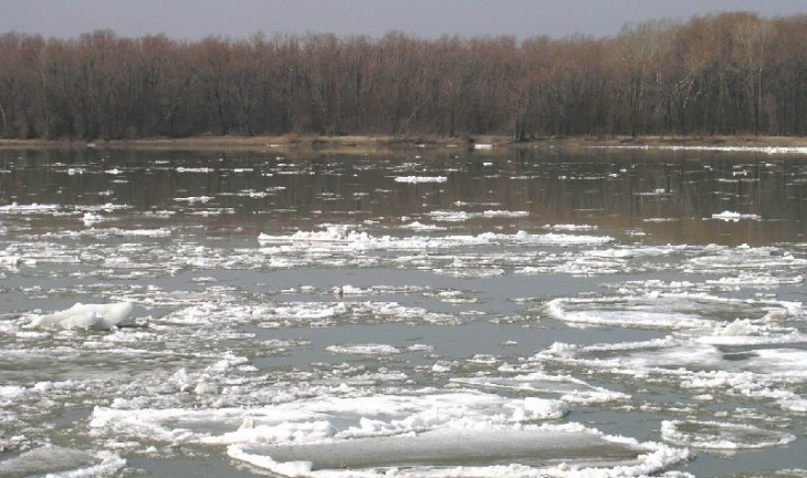 В Воронежской области утонул рыбак
