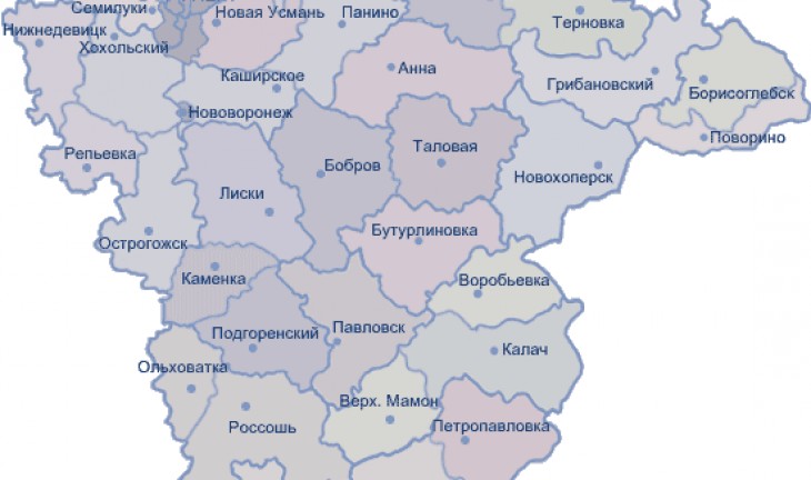 В Воронежской области укрупнения районов не будет