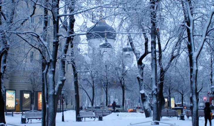 В Воронеже идет плановая уборка улиц от снега