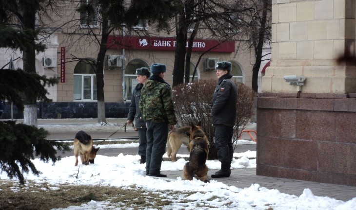 В Воронеже перед визитом Путина у здания правительства области дежурят кинологи с собаками