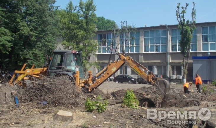 В центре Воронежа на месте детской площадки вырастет многоэтажный дом?