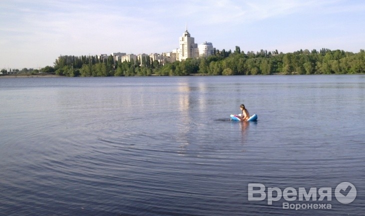 В воронежском водохранилище дети плещутся рядом с дохлой рыбой