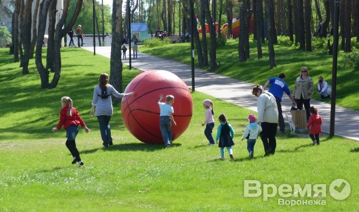 В Воронеже пройдёт танцевальный флэш-моб