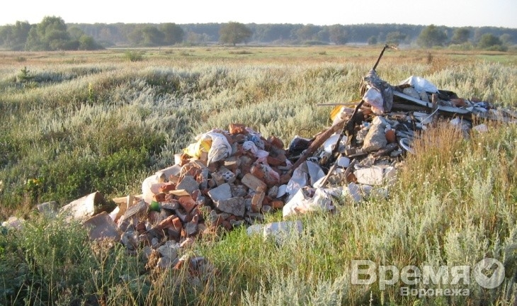 В чистейшем уголке Воронежа, где живут цапли и чибисы, выросла гигантская свалка