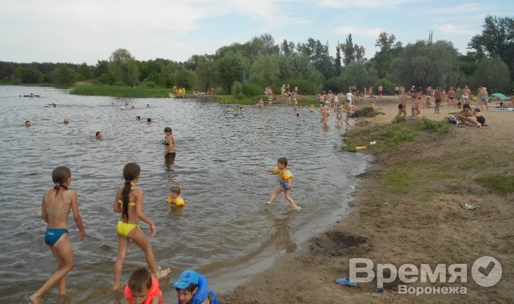 «С приходом жары тепловые и солнечные удары воронежцы пока не получали»