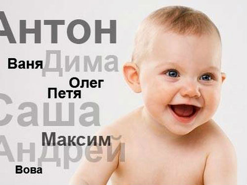 В Воронеже родились Сахар, Аполлон и Ширак 