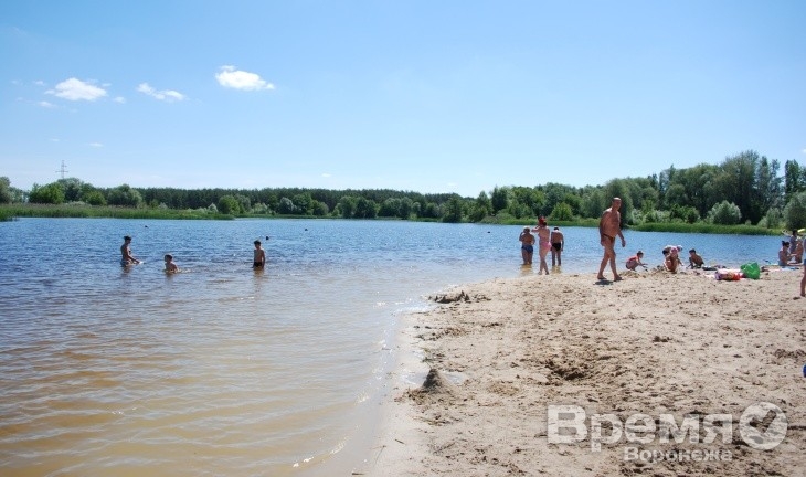 Роспотребназор: В Воронеже можно купаться только на четырёх пляжах