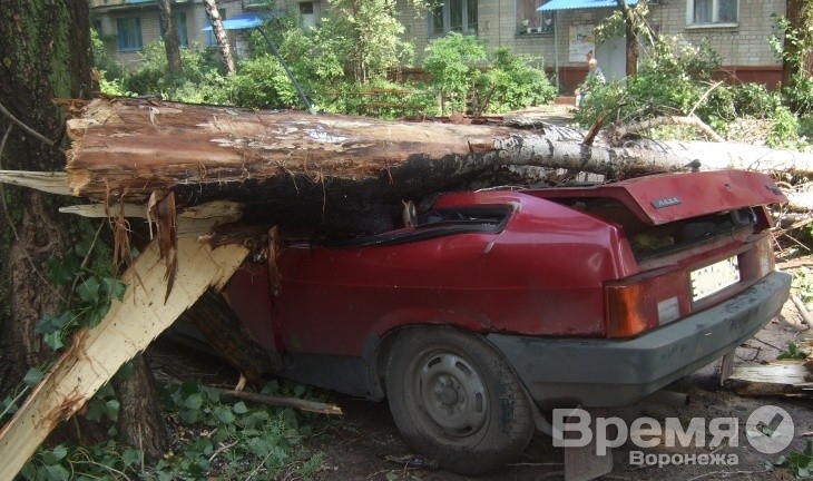 За три дня в Воронеже убрали 104 упавших дерева