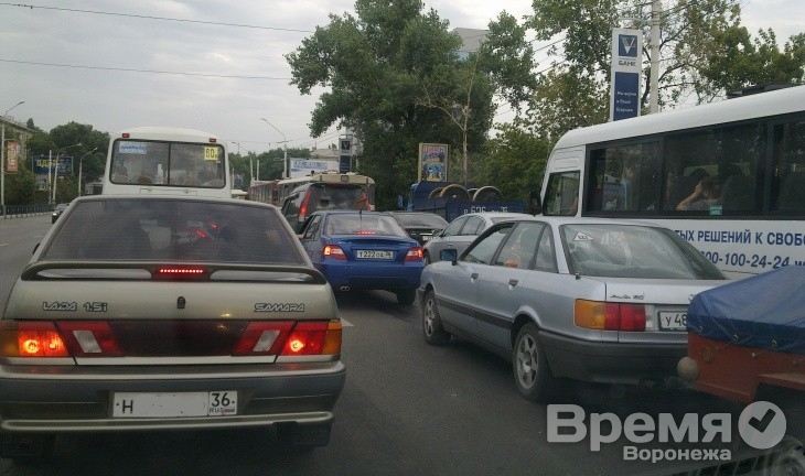 Воронежцев призывают на один день отказаться от авто