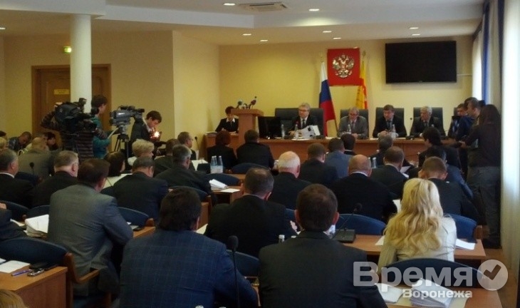 Александра Шипулина сняли с поста спикера Воронежской гордумы