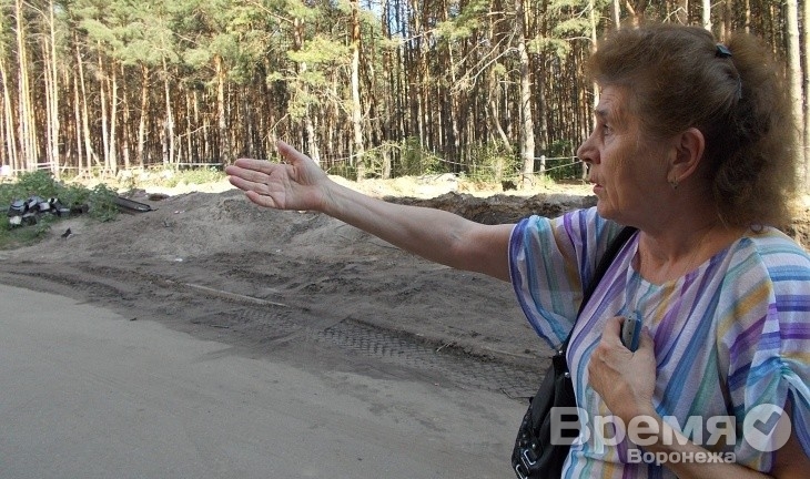 Воронежцы спасли сосновый бор, собрав три тысячи подписей