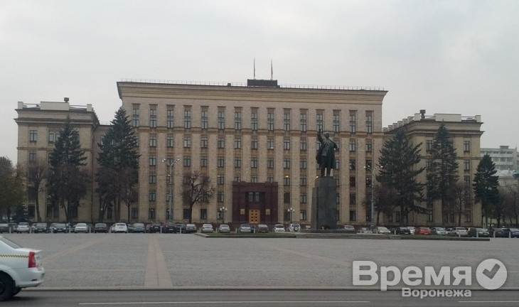 Правозащитники оценят площадки в Воронеже, где могут разместить гайд-парки
