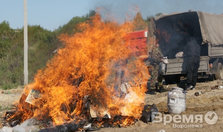 В Воронеже сожгли больше 100 кг наркотиков
