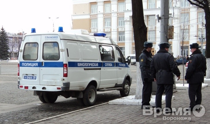 Полиция: В Воронежской области в прошлом году поймали всех телефонных «террористов»