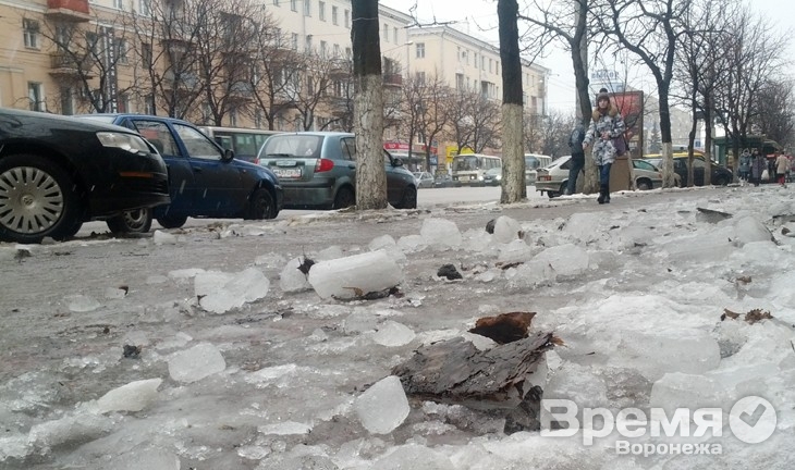 «Воронеж станет удобнее, если центр перекрыть для личного транспорта»