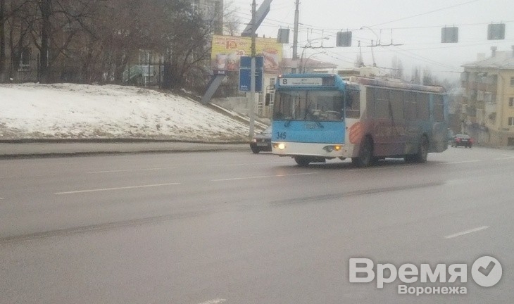 Центр Воронежа из-за внезапно остановившихся троллейбусов может стать в пробке