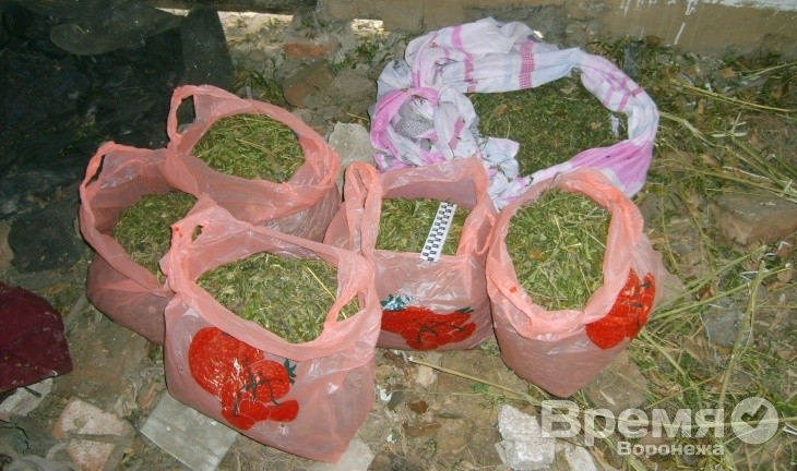 Под Воронежем наркотики прятали в клетке для кроликов