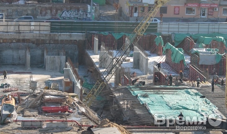 На работу в Воронежскую область чаще всего приезжают мигранты без образования