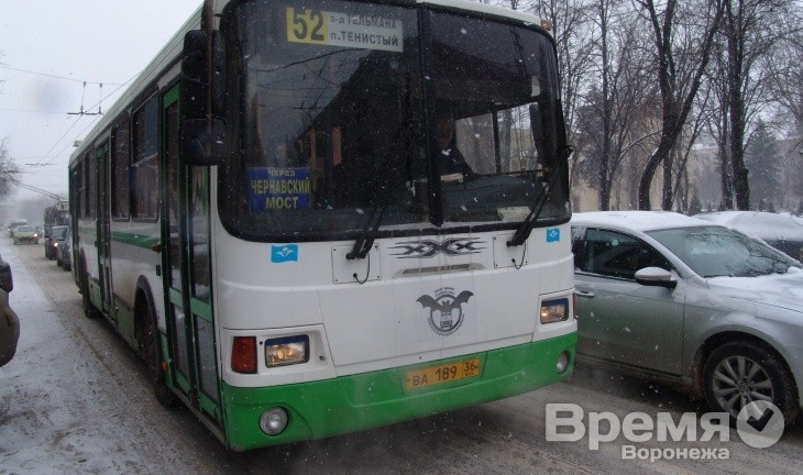 По улицам Воронежа теперь курсируют… бэтмобасы