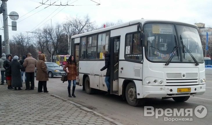 Воронежских водителей маршруток обяжут следить за чистотой салона и быть вежливыми с пассажирами