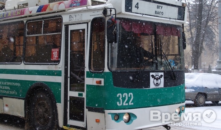 С воронежских автобусов и троллейбусов сняли скандальные логотипы с летучей мышью