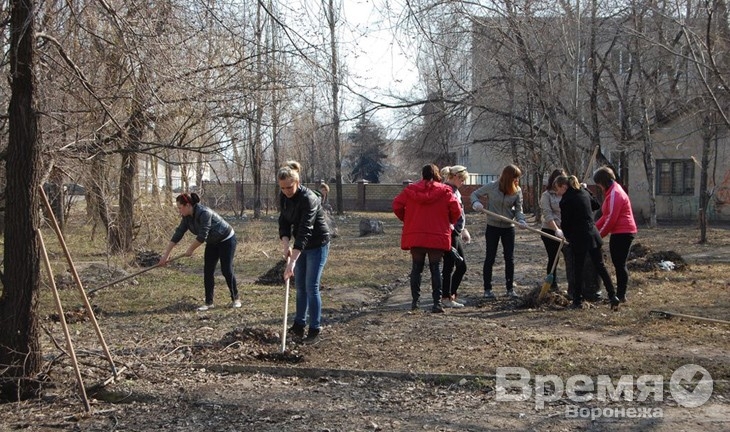 На призыв властей активнее принимать участие в субботниках откликнулись 60 тысяч воронежцев