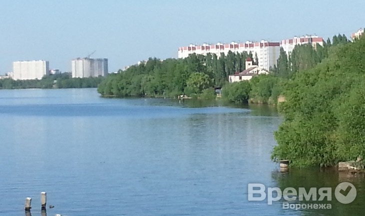 В воронежском водохранилище горожане открыли купальный сезон