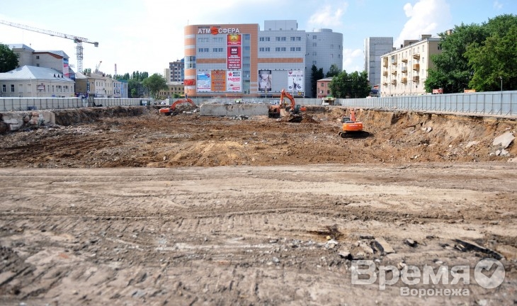 Из бюджета Воронежской области выделили 150 млн рублей на акционирование «Центрального рынка»
