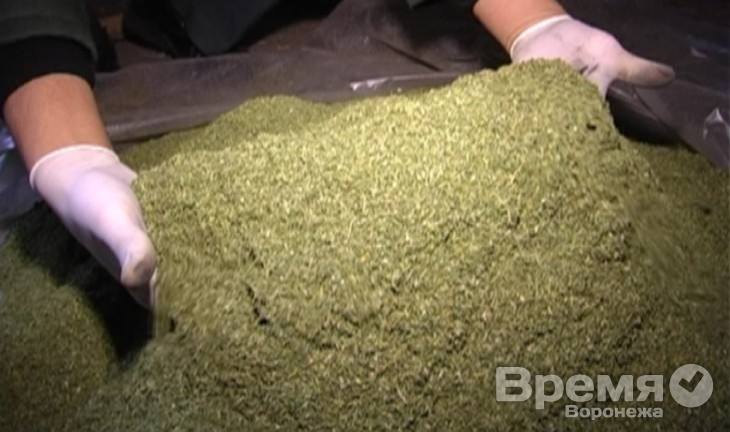 В Воронеже изъяли более 5 кг наркотиков