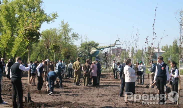 За тем, как в Воронеже приживутся две тысячи деревьев, проследит управление экологии