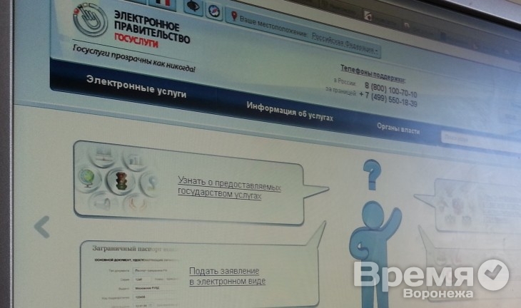 В Воронежской области порталом госуслуг пользуется меньше трёх процентов жителей