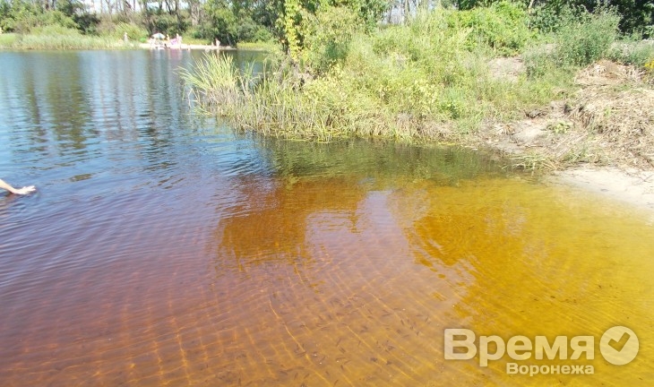 Санитарные врачи обнаружили кишечную инфекцию в реке Воронеж
