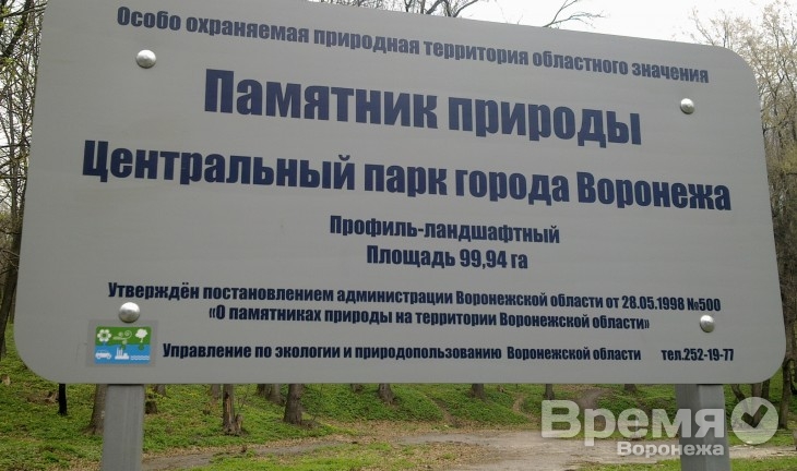Реконструкцию воронежского парка «Динамо» могут снова перенести