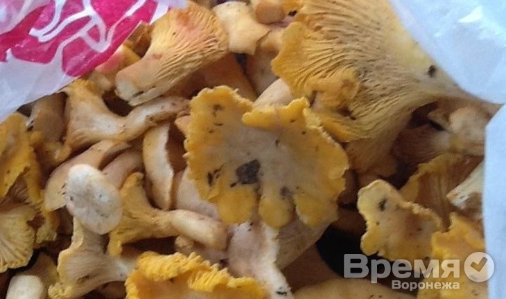 В Воронежской области уже семеро человек отравились грибами
