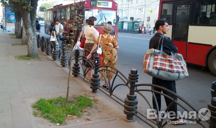 ФМС: Лагерей для нелегалов в Воронежской области не будет!