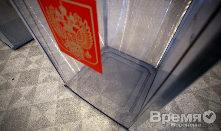 На выборах мэра Воронежа будут использовать как прозрачные, так и деревянные урны
