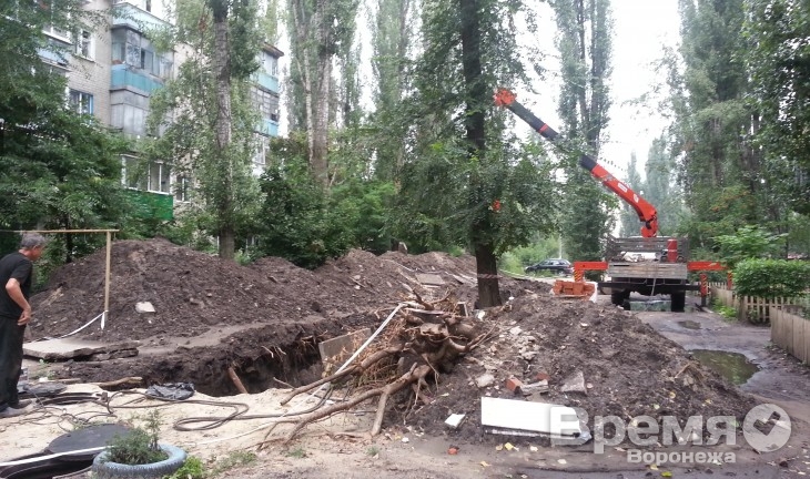 Воронежцев призывают не смывать в канализацию картон, бутылки, тряпки, фрукты и овощи