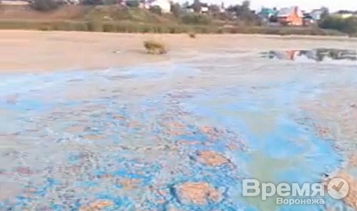 Водохранилище в Воронеже покрылось толстым слоем водорослей и пены