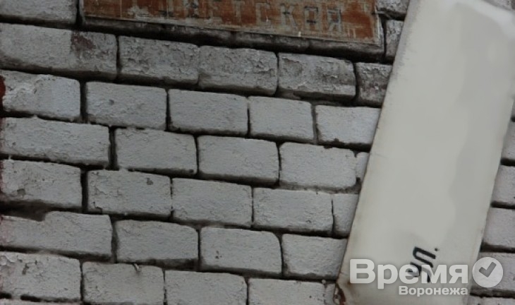 В Воронеже активисты просят назвать три улицы именами известных воронежских писателей