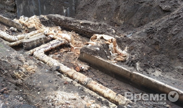 Мэрия Воронежа заставит коммунальщиков высаживать газоны на месте ремонта теплосетей