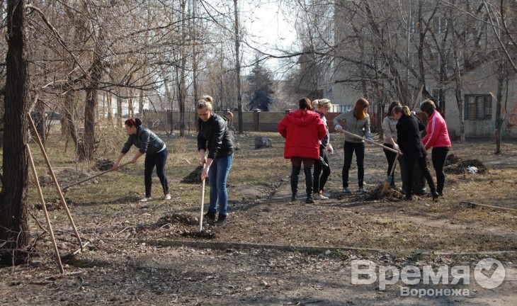 Власти призывают воронежцев выйти на общегородской субботник в последний день лета