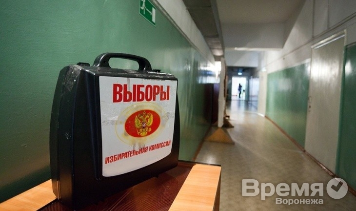 Скандалы на выборах в Воронежской области: кандидаты забывают о судимостях, недвижимости и доходах