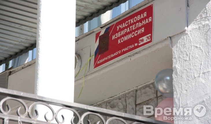 В Воронеже из-за выборов отменят занятия в школах