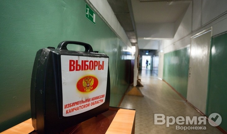 Как воронежцы могут проголосовать на ближайших выборах, не выходя из дома