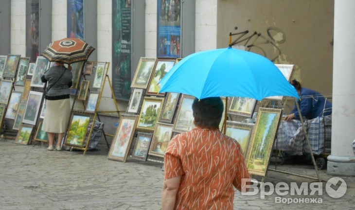 В Воронеже в день выборов будет пасмурно и дождливо