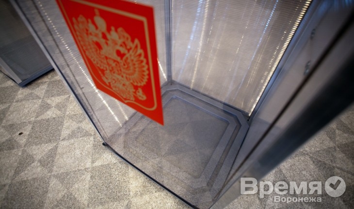 Роскомнадзор и избирком дадут оценку СМИ, сообщившим о «давлении на директоров школ» накануне выборов в Воронеже