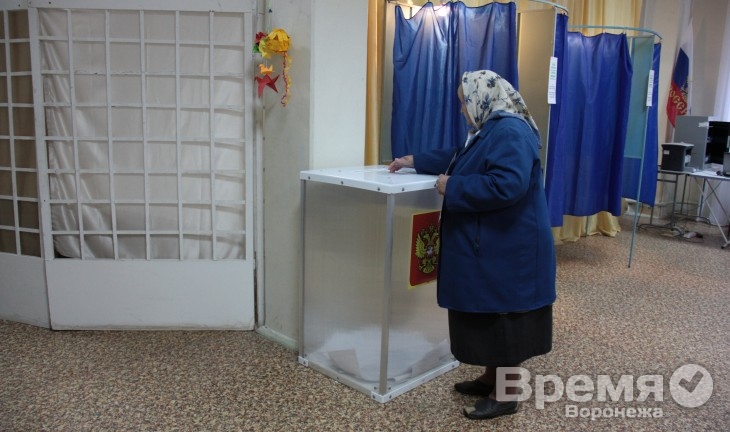 К полудню на выборах мэра Воронежа проголосовали меньше 50 тысяч человек
