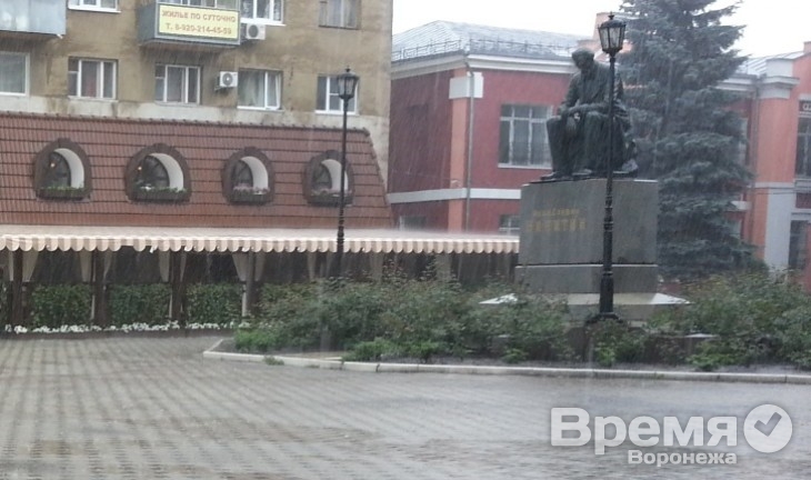 Воронежцы считают брендами нашего города двух поэтов, писателя и императора