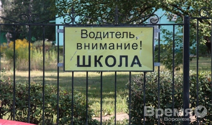 Одиннадцать школ Воронежской области вошли в список лучших в России