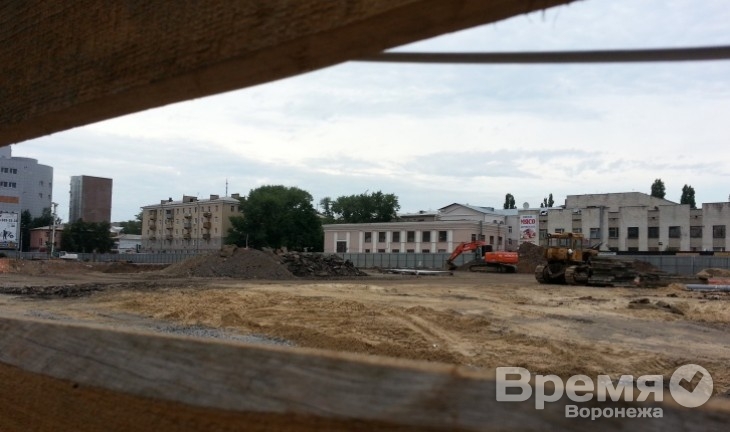 Одна акция Центрального рынка стоит всего сто рублей